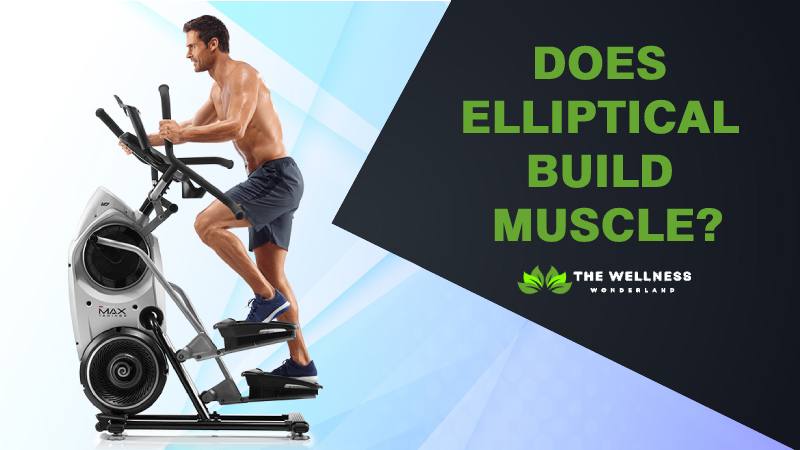 Does elliptical build muscle
